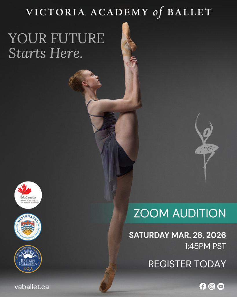 Zoom audition poster